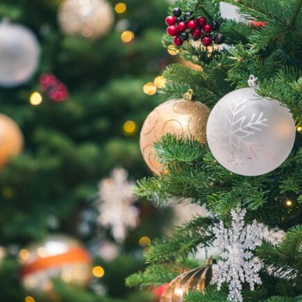 Albero di Natale