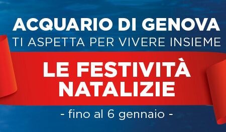 Le Festività Natalizie all'Acquario di Genova!