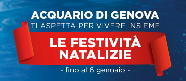 Le Festività Natalizie all'Acquario di Genova!