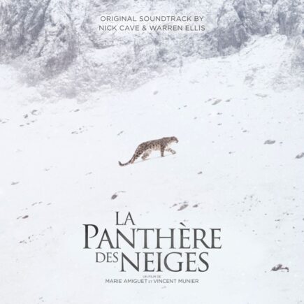 La Pantera delle Nevi - Artwork