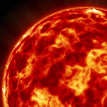 Come sopravvivere al caldo