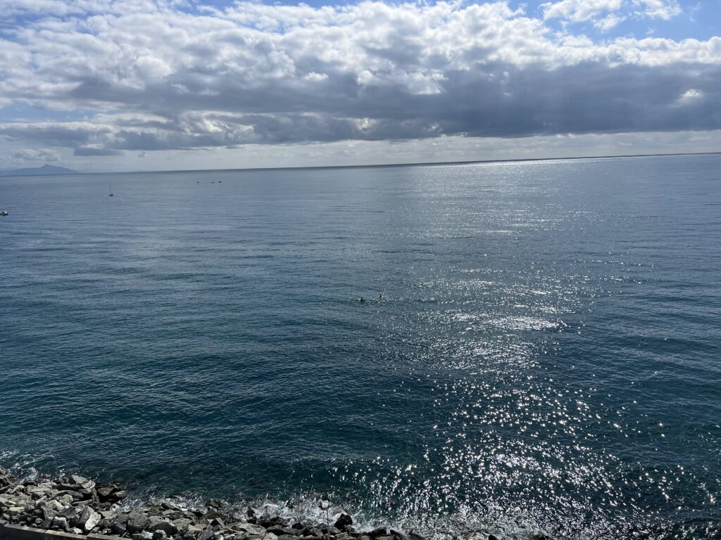 Mare di Arenzano visto dalla Grand Roue 32-Ruota panoramica
