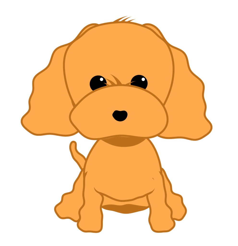 Dorina-Cane barboncino
