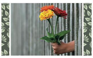 La cura-Dettaglio copertina libro di Stefania Magnone