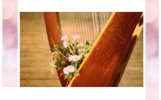 Arpa-Immagine di Madison from Pixabay