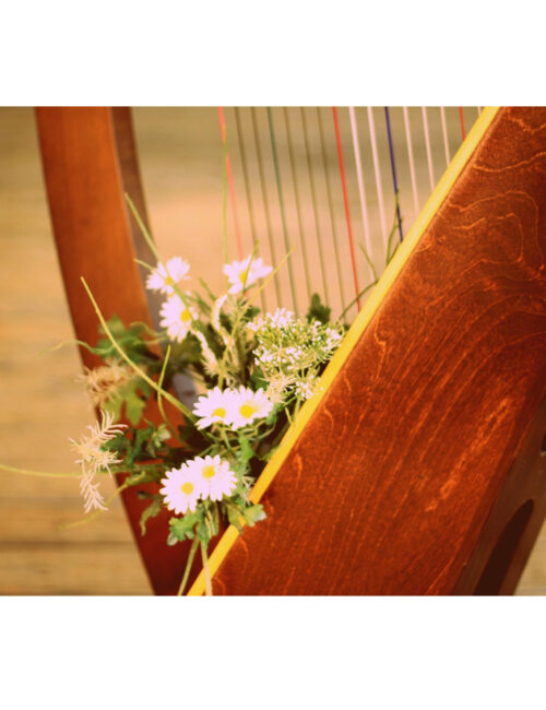 Arpa-Immagine di Madison from Pixabay